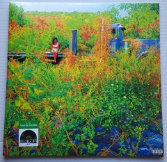 Jhene Aiko – Trip – 2026 RSD Vinyl 2 LP Picture Disc – Record Store Day