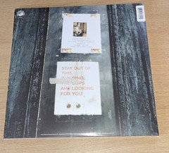 We Buy Diabetic Test Strips by Armand Hammer Limited Tiger Eye Vinyl Record