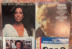 Vintage Vinyl Record Lot of 17 LPs – 70s 80s Rock Pop Soul Country Doors Summer