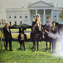 The First Family Rides Again Vinyl LP The Boardwalk Entertainment Co NB1-33248