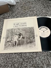 THE APPLE ENSEMBLE A MAJOR BREAKDOWN LP RARE 70s PRIVATE PRESS BLUEGRASS FOLK EX