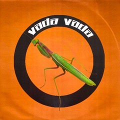 sealed ORANGE vinyl etched rare EP The Garden U Want The Scoop Mint Hype Sticker