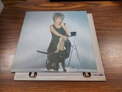 TINA TURNER*PRIVATE DANCER* VINYL LP RECORD IS EXCELLENT CAPITOL ST-12330 EX/VG