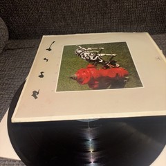 Rush Signals Mercury 12″ Black Vinyl LP Rock Record Cardboard Sleeve #owen
