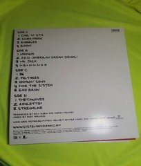 Steal this Album! by System of a Down (Record, 2018)