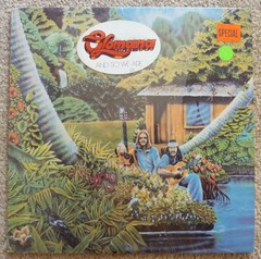 Peter Moon & Hawaiian Slack Key Guitar Assorted 9-LP Record Collection