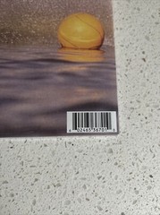 Helmet “Betty” IVC Edition 2LP Gray Vinyl Limited Edition Foil Numbered 20/3000