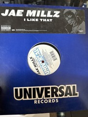Lot of 20 Rap/Gangsta/Hip-Hop Lp’s 12″ Singles 1990’s-2000’s Nelly Mase Obie #6