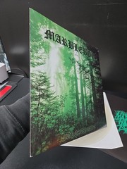 Marblebog Forestheart Lp Clear Vinyl 2007 1st Press W/Insert EX/NM Wax RARE