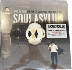 LP SOUL ASYLUM Vinyl After the Flood 1997 2LP Record Store Day 2025 NEW SEALED