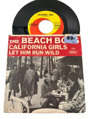 Ultimate Beach Boys 45 RPM Collection. Picture Sleeves and 45s in one place!