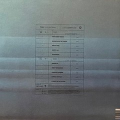 FOALS WHAT WENT DOWN LP UK