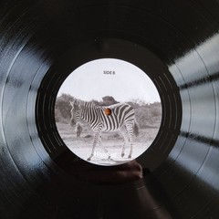 Louis Vi – Earthling (2xLP) (Mint (M)) – 4214157495