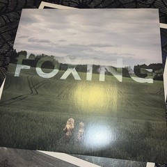 Foxing Dealer Vinyl Record 12” Album Purple Marble Color Vinyl LP
