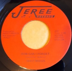 Sweet Breeze – You Did (7″) (Good Plus (G+)) – 4241509596