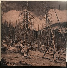 Hate Forest – Sorrow LP 2023 Osmose Productions – OPLP260 [White Marble] New *FR