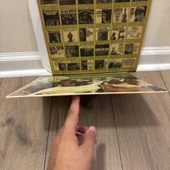 The Beach Boys PROMO Pet Sounds Original Pressing Capital T 2458 33 RPM Vinyl