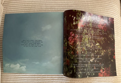 Red Vinyl Honeymoon Lana Del Rey *rare*