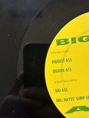 Alice Donut – The Biggest Ass (Vinyl 12″ – 2010 – US – Reissue)