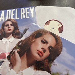 Lana Del Rey- a tunnel under Ocean Blvd ,Ultraviolence, Born To Die, Paradise