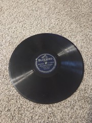 10 Mixed BlueBird Vinyl Records