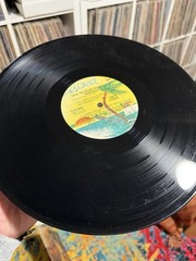 Swamp Dogg – Have You Heard This Story? Vinyl LP 1974 Island ILPS 9299 – VG/VG+