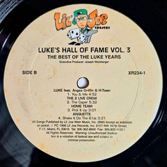 1998 – VARIOUS – LUKE’S HALL OF FAME VOLUME 3 – DOUBLE LP COMPILATION