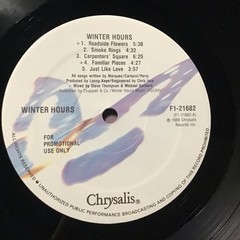 WINTER HOURS 1989 SELF-TITLED PROMO LP CHRYSALIS PRINT VINTAGE VINYL