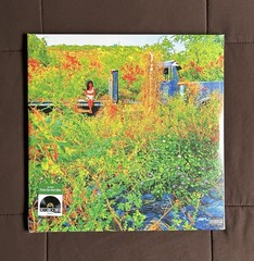 Jhene Aiko Trip Zoetrope Vinyl 2xLP RSD 2026 Sealed R&B Soul Limited Edition