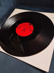 D.J. KOOL – What The Hell You Come In Here For? – 12″ Single Vinyl LP
