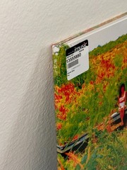 NEW SEALED VINYL – JHENE AIKO – TRIP – RSD 2026 PICTURE DISC EXCLUSIVE 2LP