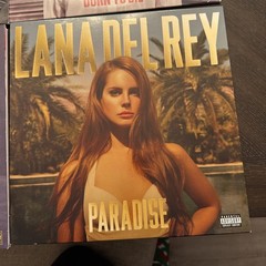 Lana Del Rey- a tunnel under Ocean Blvd ,Ultraviolence, Born To Die, Paradise