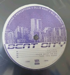 19 x Breaks Breakbeat UK Garage 12″ DJ Vinyl Record Collection Job Lot New Mint