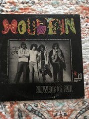Mountain Flowers Of Evil LP, Used VinylVG + Cond , Windfall Records 5501 Cutout