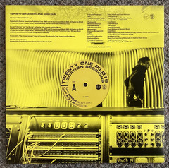 Twenty One Pilots – Location Sessions – 2021 RSD Press Gray Vinyl w/Slv VG+/M-