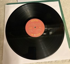 The Presidents of the USA Presidents Of The United States Of America Mint/Vinyl