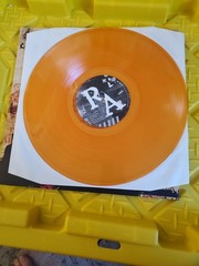 Appeal to Reason – Rise Against Orange Transparent Vinyl LP Record