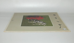 1982 Rush Signals Vinyl LP Record Album Mercury Records SRM-1-4063
