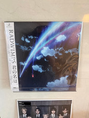 Radwimps Your Name Kimi no Na wa OST 2LP Vinyl Makoto Shinkai Anime Tracked NEW