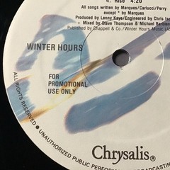 WINTER HOURS 1989 SELF-TITLED PROMO LP CHRYSALIS PRINT VINTAGE VINYL