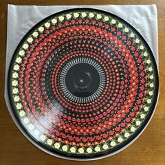 FOALS Life Is Yours LIMITED EDITION UK ZOETROPE PICTURE DISC VINYL LP 2022 VG+