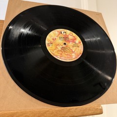 Don McLean American Pie Vinyl LP UA UAS-5535 1st Edition