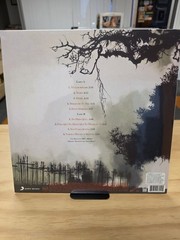 CAIFANES “EL SILENCIO” 2016 MEXICAN LP VINYL PICTURE DISC NEW FACTORY SEALED