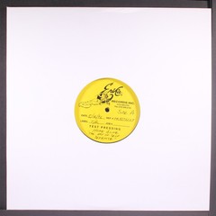 VARIOUS: home alive: the art of self defense TIM KERR / ERIKA 12″ 2x LP 33 RPM
