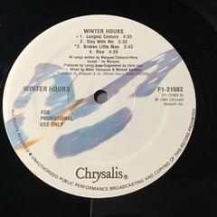 WINTER HOURS 1989 SELF-TITLED PROMO LP CHRYSALIS PRINT VINTAGE VINYL