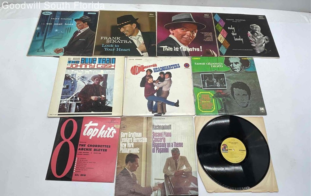 Lot Of 10 Pcs Assorted Mixed Variety Vinyl Records In Cardboard Sleeves