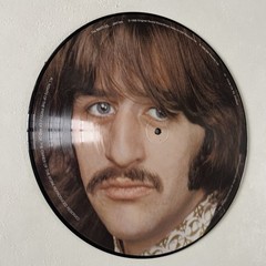 The Beatles – White Album Picture Disc Pts 1 & 2. 2007 German Press RARE NM