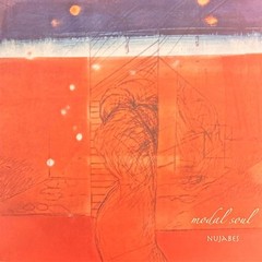 Modal Soul Artist NUJABES Format:LP Label:HYDEOUT PRODUCTIONS 2lp vinyl import