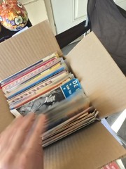 Lot of 50+ vintage DUTCH MUSIC records
