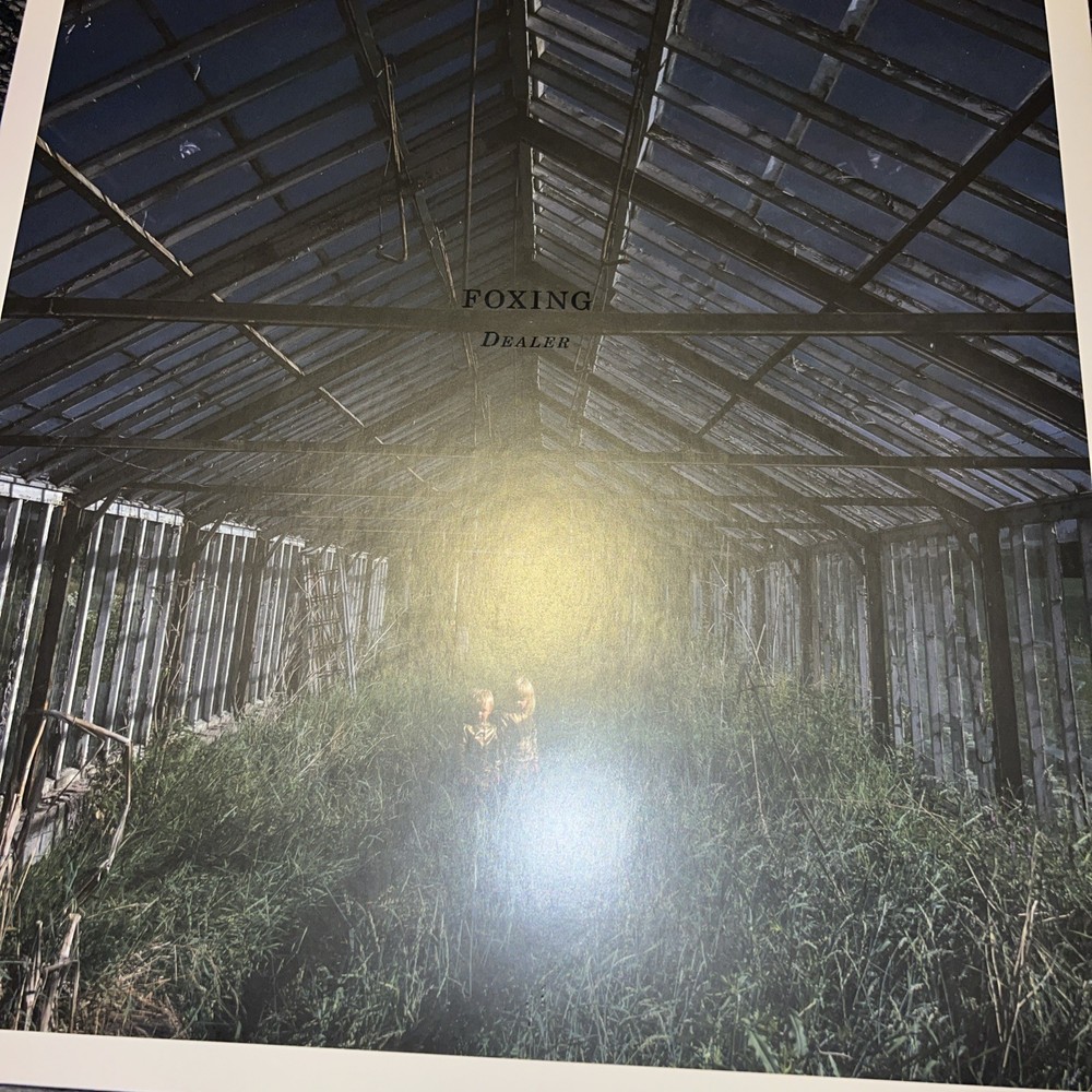 Foxing Dealer Vinyl Record 12” Album Purple Marble Color Vinyl LP
